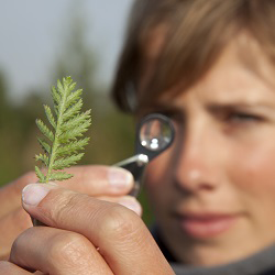 Strategic catchment management for multiple benefits: Learning from partnership working in Derbyshir