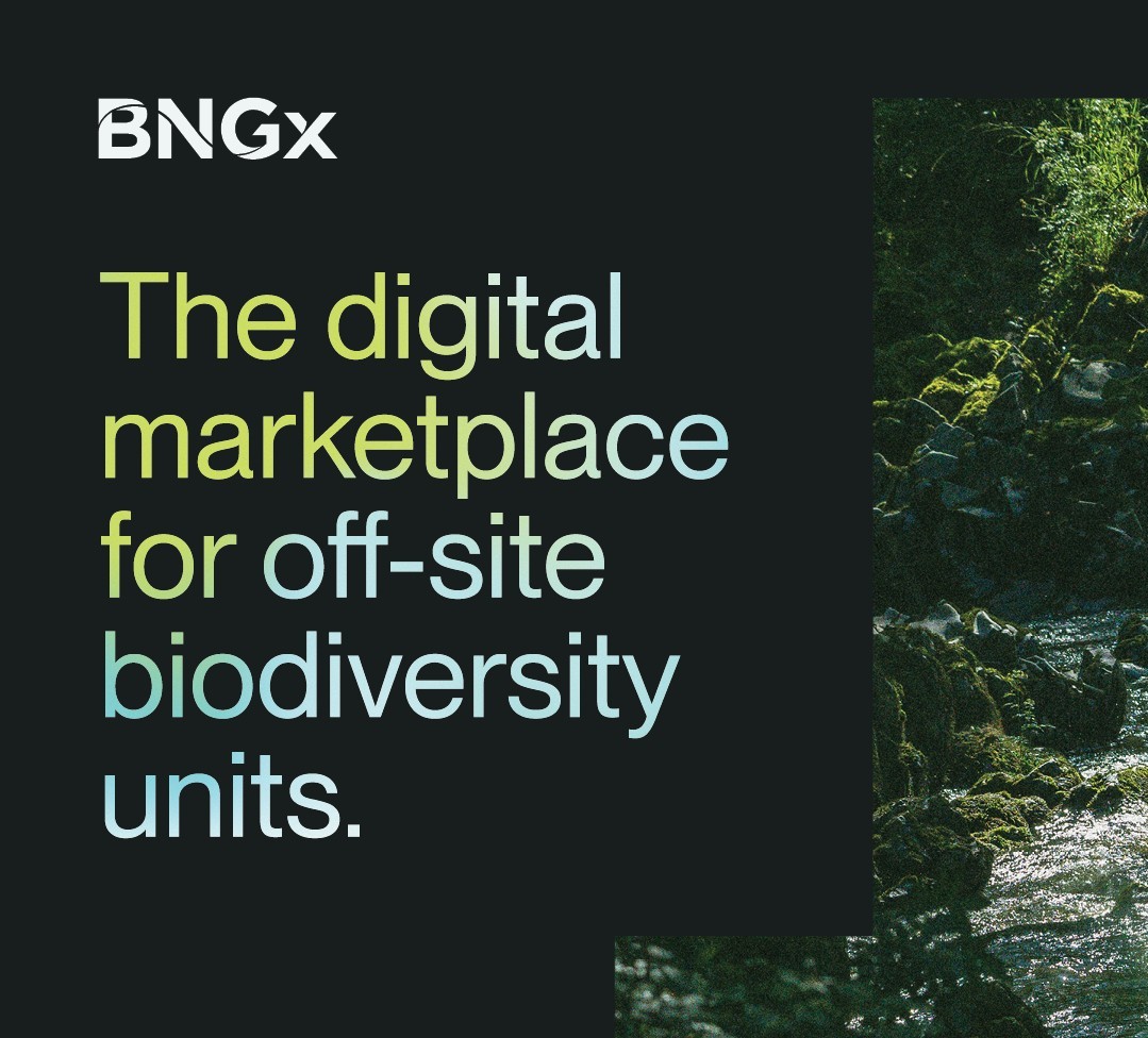 BNGx marketing1