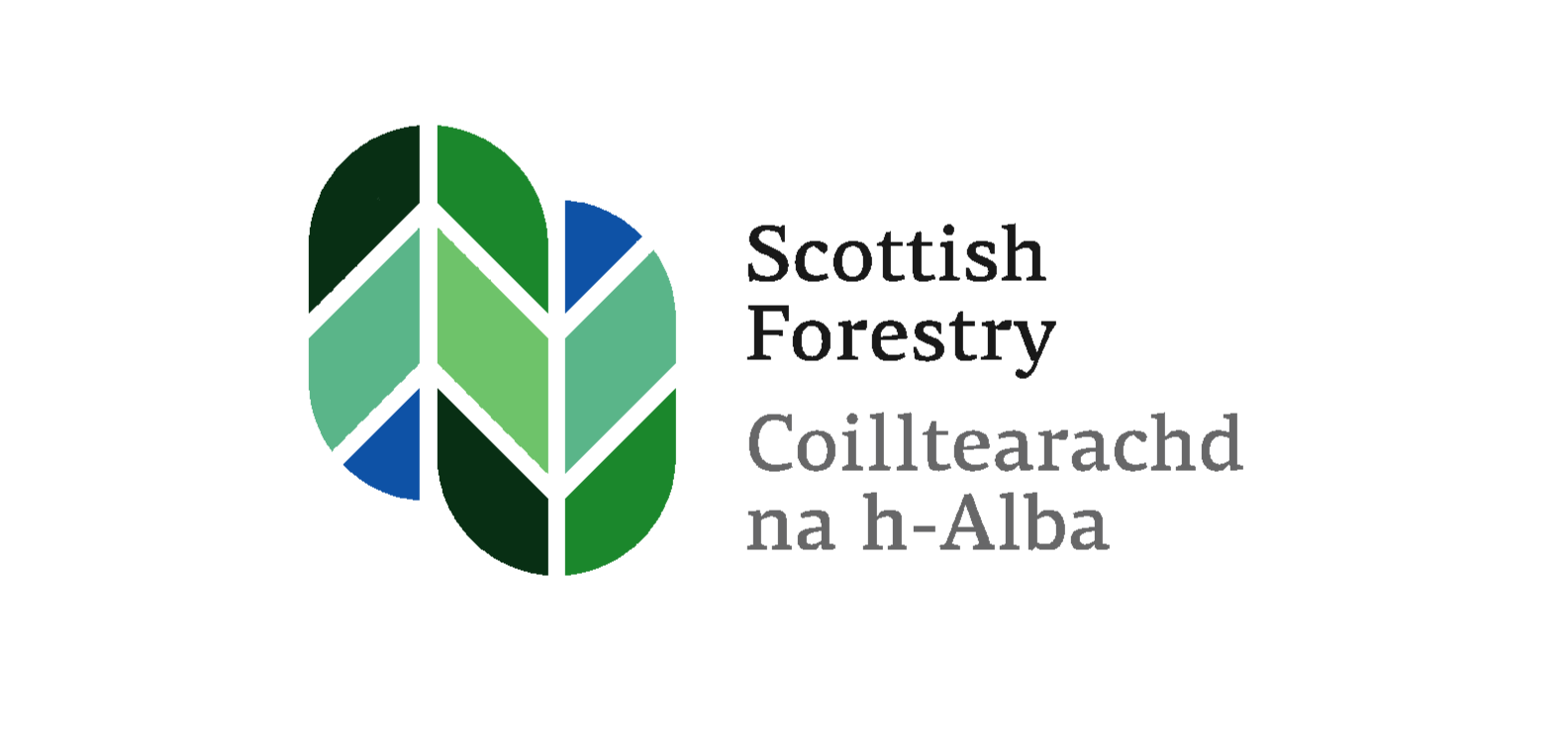 Scottish Forestry logo Scottish Forestry logo